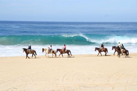 Aventure en UTV sur la plage avec balade gratuite à dos de chameau et à cheval — photo 9