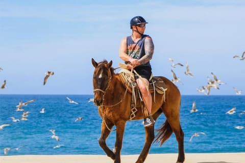 Aventure en UTV sur la plage avec balade gratuite à dos de chameau et à cheval — photo 10