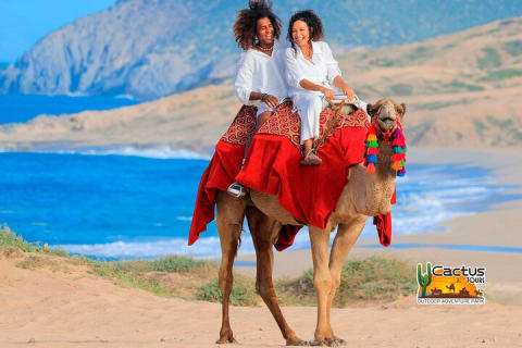 Balade à dos de chameau sur la plage et rencontre avec les chameaux à Cabo — photo 2