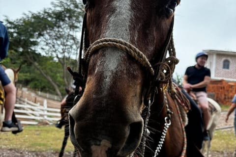 Experiencia de paseo a caballo y tirolesas — photo 15