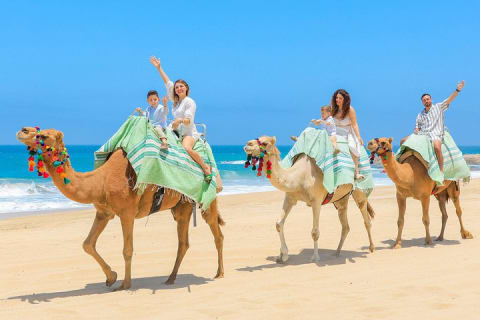 Balade à dos de chameau sur la plage et rencontre avec les chameaux à Cabo — photo 10