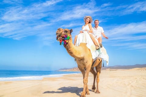 Balade à dos de chameau sur la plage et rencontre avec les chameaux à Cabo — photo 11