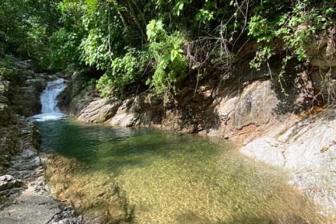 Tour en Jungle Viking/RZR para 6 pasajeros en el Río Cuale — photo 15