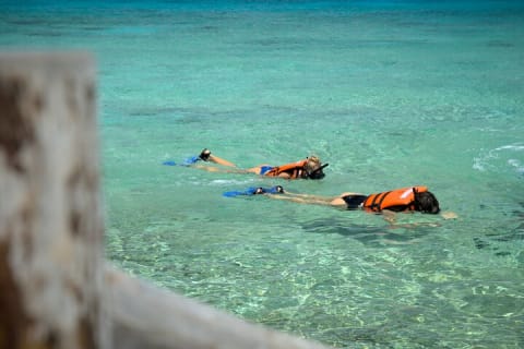 Cozumel Buggy Tour — photo 5