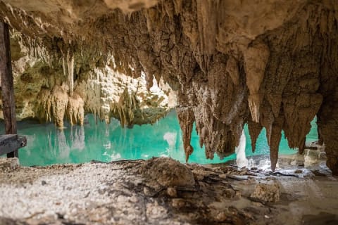 Expedición a cenotes: descubre 3 cenotes secretos con ritual maya — photo 10