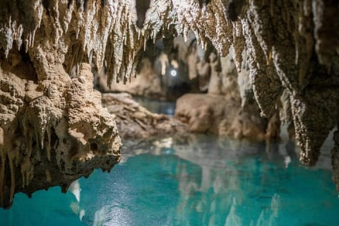 Expedición a cenotes: descubre 3 cenotes secretos con ritual maya — photo 12
