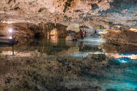 Expedición a cenotes: descubre 3 cenotes secretos con ritual maya — photo 15