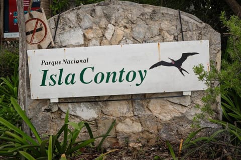 Beach Escape: Isla Contoy and Isla Mujeres with Snorkeling. — photo 4