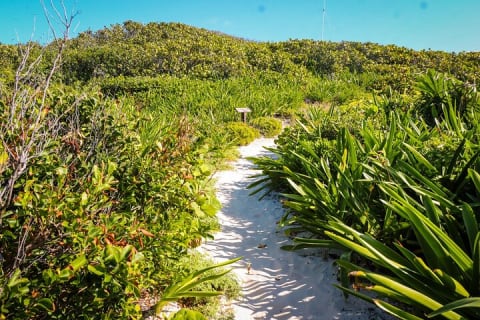 Beach Escape: Isla Contoy and Isla Mujeres with Snorkeling. — photo 9