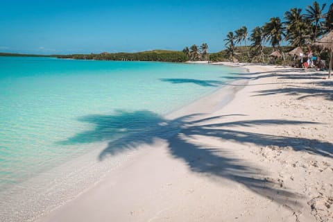 Beach Escape: Isla Contoy and Isla Mujeres with Snorkeling. — photo 1