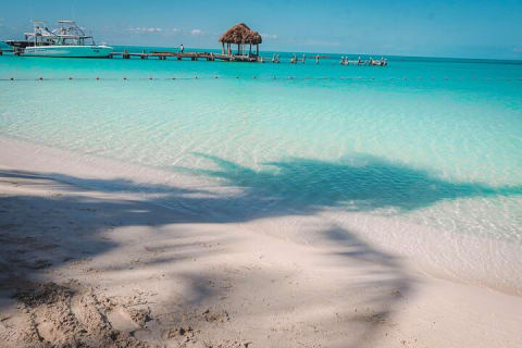 Beach Escape: Isla Contoy and Isla Mujeres with Snorkeling. — photo 11