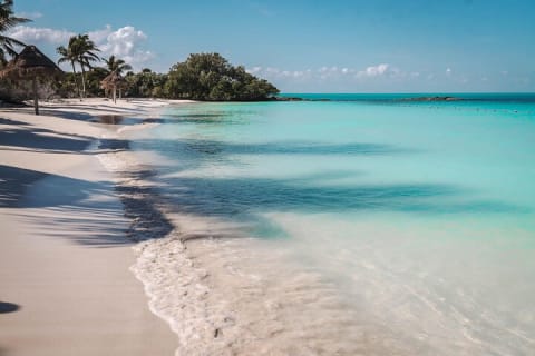 Beach Escape: Isla Contoy and Isla Mujeres with Snorkeling. — photo 8