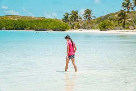 Beach Escape: Isla Contoy and Isla Mujeres with Snorkeling. — photo 12