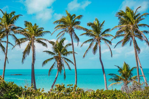 Beach Escape: Isla Contoy and Isla Mujeres with Snorkeling. — photo 7