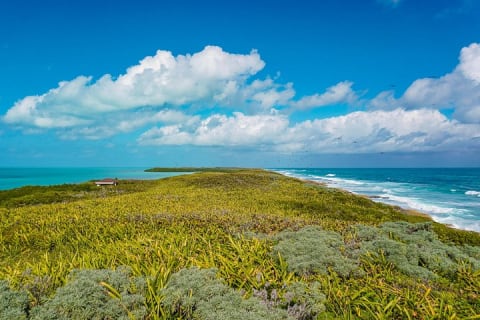 Beach Escape: Isla Contoy and Isla Mujeres with Snorkeling. — photo 13
