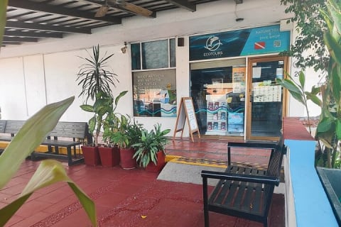 Experiencia de liberación de tortugas marinas y conservación en Puerto Vallarta — photo 4