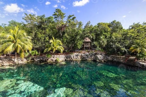 Cenotes Casa Tortuga: 5 Cenotes Day Pass — photo 1