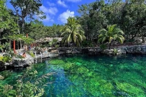Cenotes Casa Tortuga: 5 Cenotes Day Pass — photo 2
