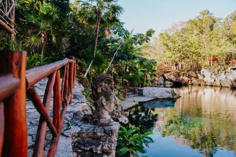 Cenotes Casa Tortuga: 5 Cenotes Day Pass — photo 3