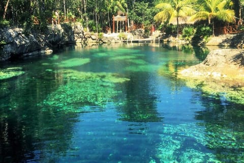 Cenotes Casa Tortuga: 5 Cenotes Day Pass — photo 5