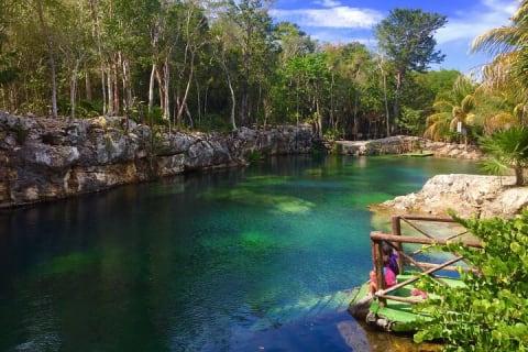 Cenotes Casa Tortuga: 5 Cenotes Day Pass — photo 6