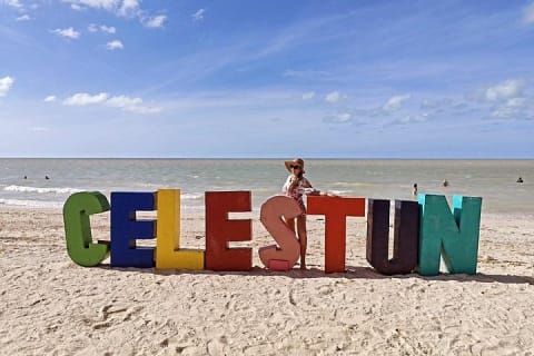 Celestún Mangrove Exploration & Beach Escape from Mérida — photo 5