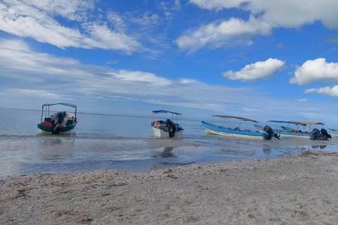 Celestún Mangrove Exploration & Beach Escape from Mérida — photo 8