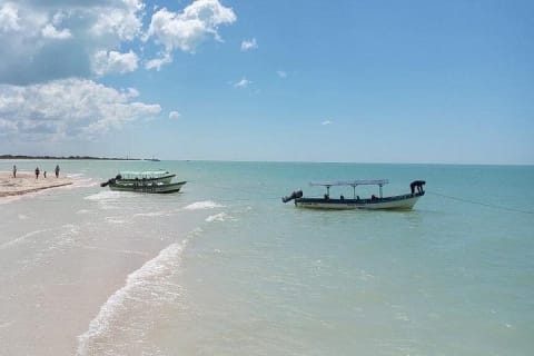 Celestún Mangrove Exploration & Beach Escape from Mérida — photo 13
