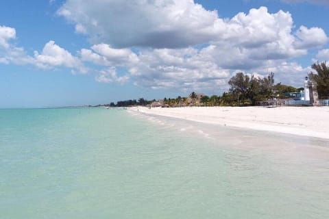 Celestún Mangrove Exploration & Beach Escape from Mérida — photo 15