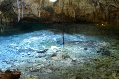 Tulum Jungle Cenote & Turtle Swim — photo 5