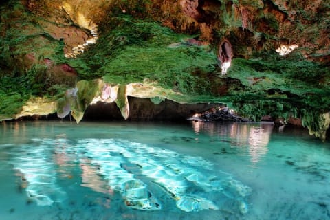Tulum Jungle Cenote & Turtle Swim — photo 7