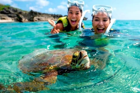 Tulum Jungle Cenote & Turtle Swim — photo 12