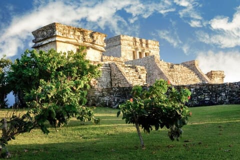 Tulum : Cenote Swim & Turtle Tour with Ruins Visit & Buffette — photo 7