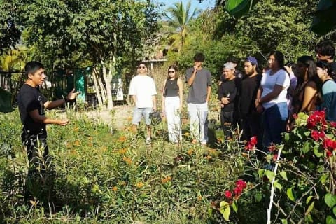 Tour guiado por el santuario y museo de mariposas en Puerto Vallarta — photo 12