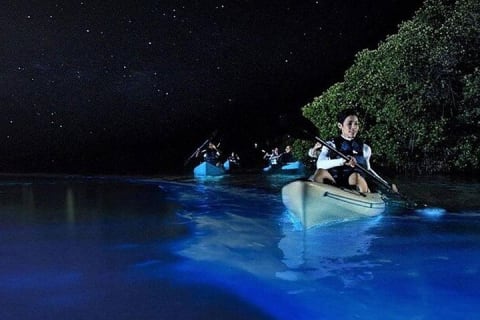Holbox Bioluminescence: Night Kayak & Stargazing Eco Tour — photo 2