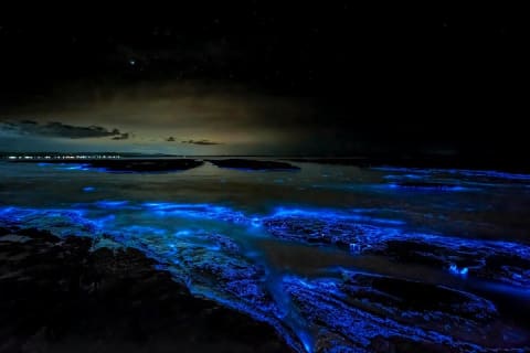 Holbox Bioluminescence: Night Kayak & Stargazing Eco Tour — photo 14