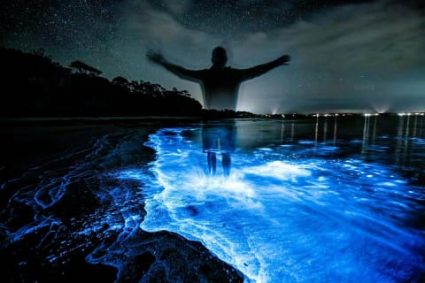 Holbox Bioluminescence: Night Kayak & Stargazing Eco Tour — photo 13