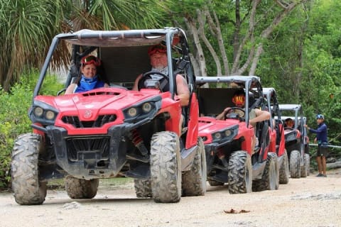 Jungle Buggy Day Tour — photo 2