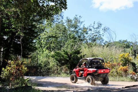 Jungle Buggy Day Tour — photo 3