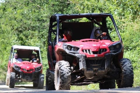 Jungle Buggy Day Tour — photo 4