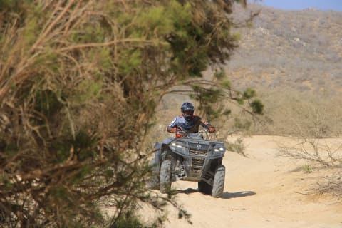 Experiencia extrema en cuatrimoto todoterreno por la playa y el desierto de Cabo — photo 2