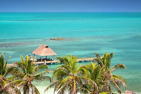 Contoy Island & Mujeres island, snorkeling & lunch on the beach. — photo 10