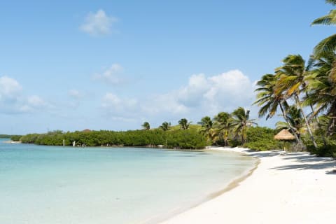 Contoy Island & Mujeres island, snorkeling & lunch on the beach. — photo 3