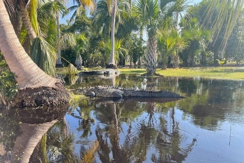 Depuis Huatulco : écotour des crocodiles et des tortues — photo 3