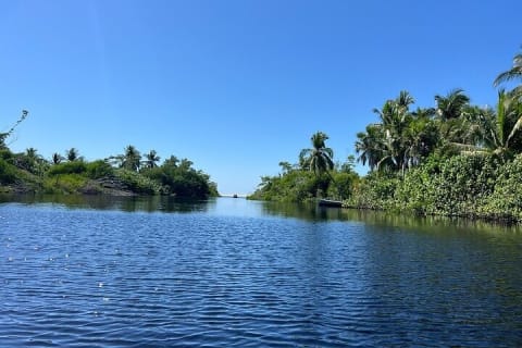 Depuis Huatulco : écotour des crocodiles et des tortues — photo 5