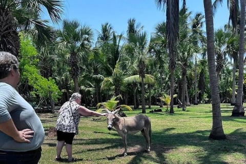Depuis Huatulco : écotour des crocodiles et des tortues — photo 11