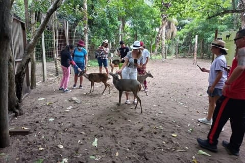 Depuis Huatulco : écotour des crocodiles et des tortues — photo 12