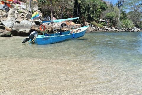 Private Bay Tour and Snorkeling — photo 3