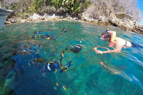 Private Bay Tour and Snorkeling — photo 1