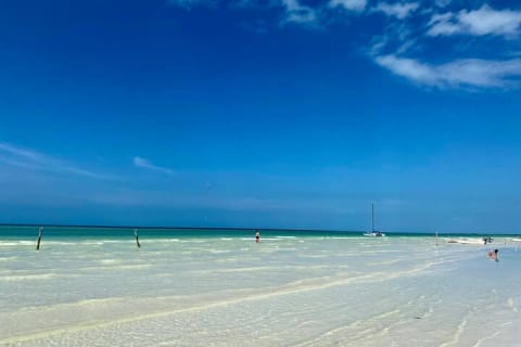 Holbox Island Tour Punta Mosquito Local Culture and Lunch — photo 7